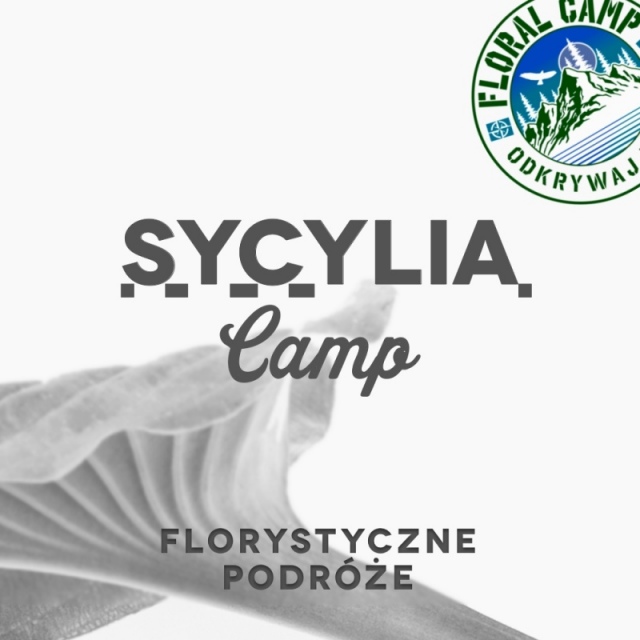 SYCYLIA Camp | Włochy