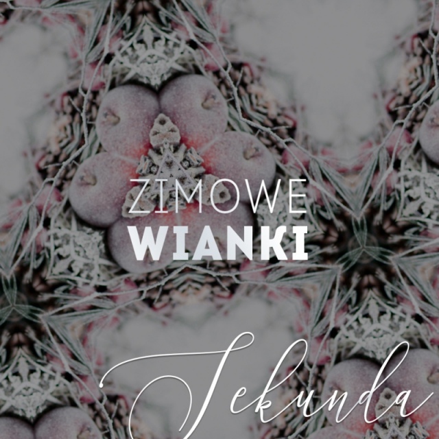 ZIMOWE WIANKI